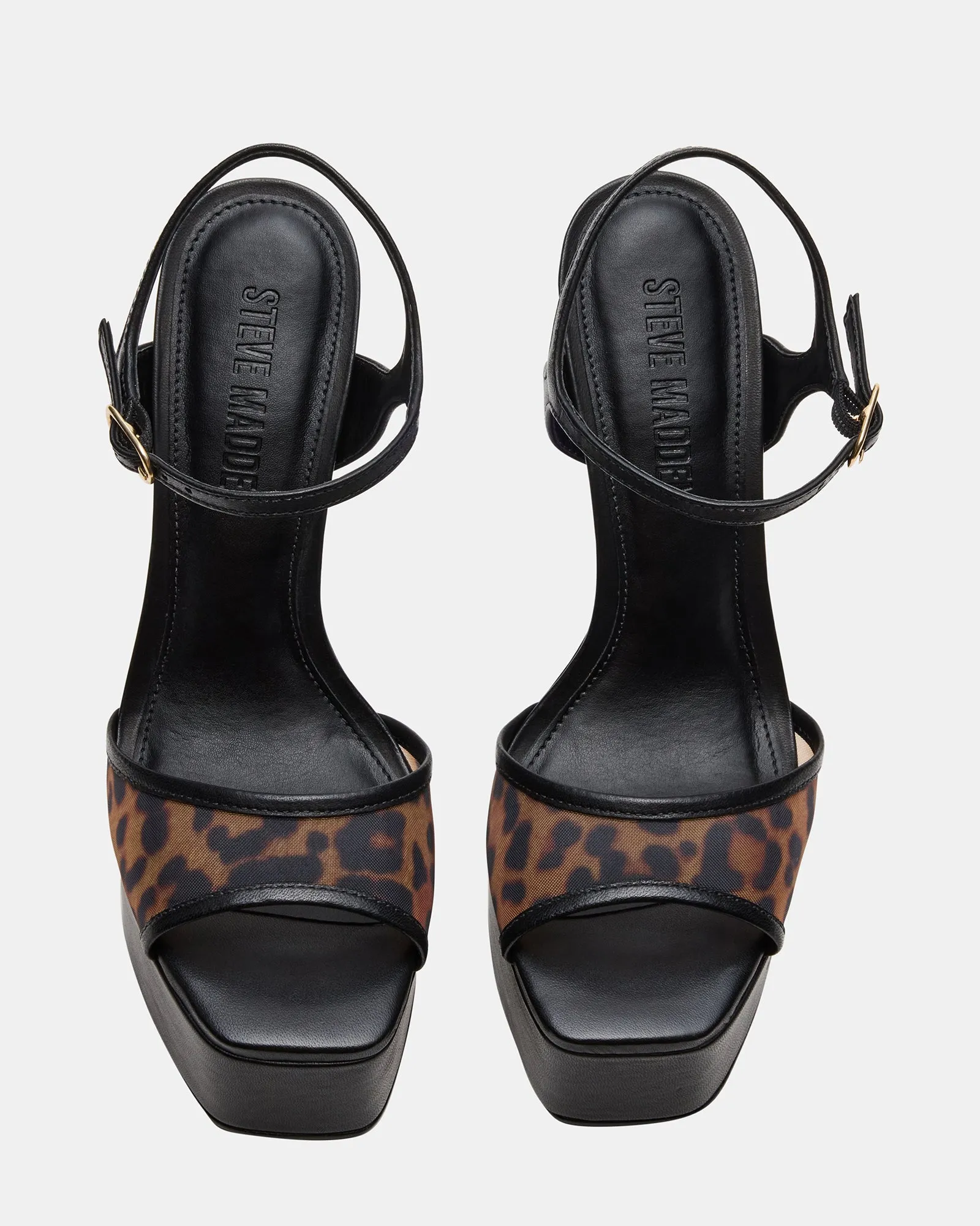 COLOGNE LEOPARD MULTI
