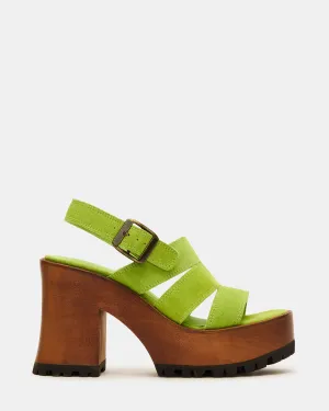 ENCINO GREEN SUEDE
